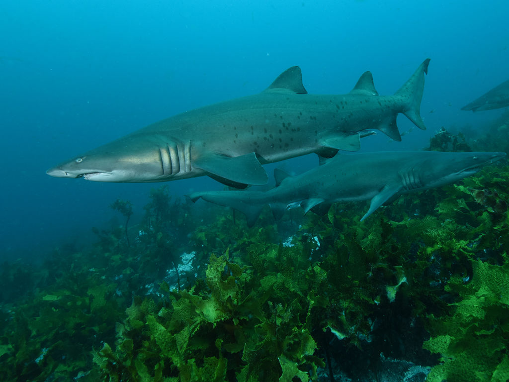 a605564a-6333-488f-a4ce-a47d7f7a4e35