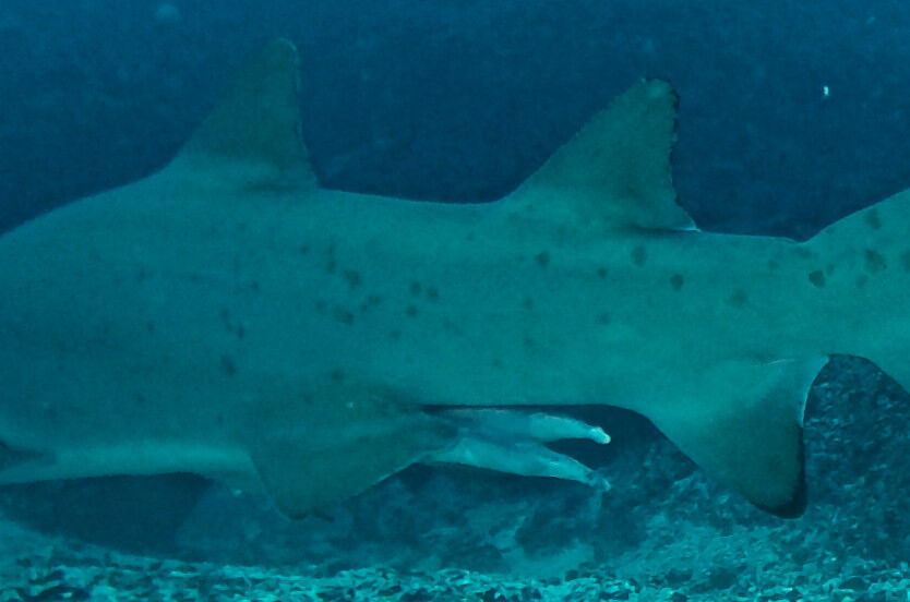 afe099b6-fc29-4b2e-836e-d39ee8e48323