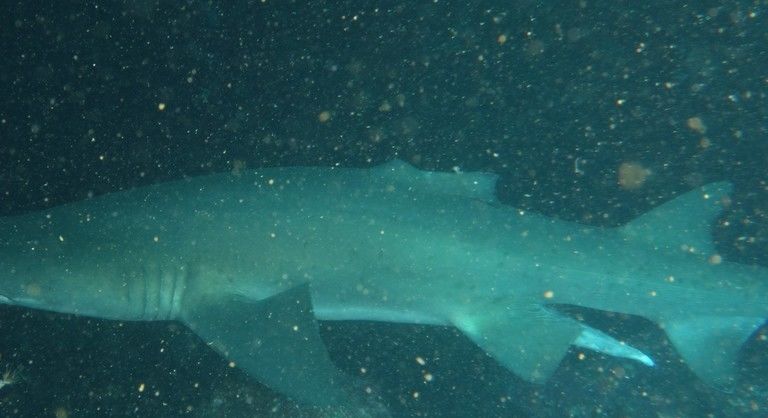 f2f5eea7-2616-4d91-837b-7d95ad046523