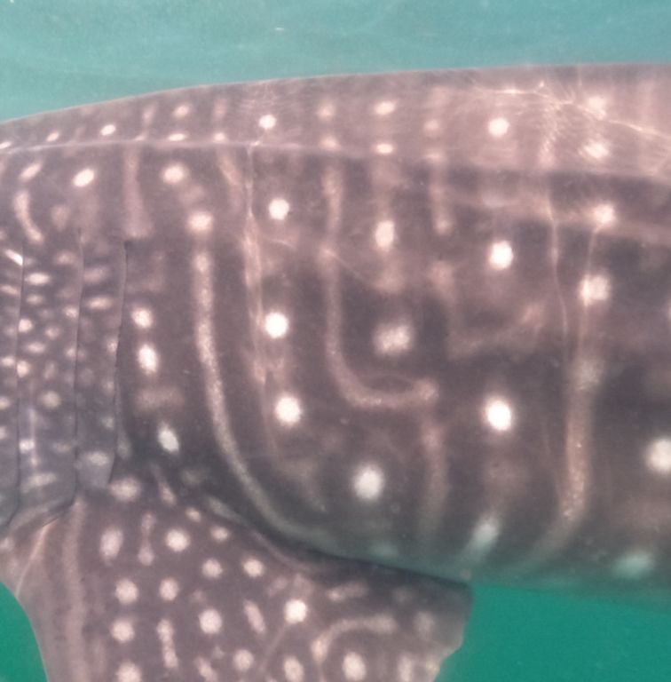 e2a43021-d2f5-4d36-889a-5a83f3eb4dbf