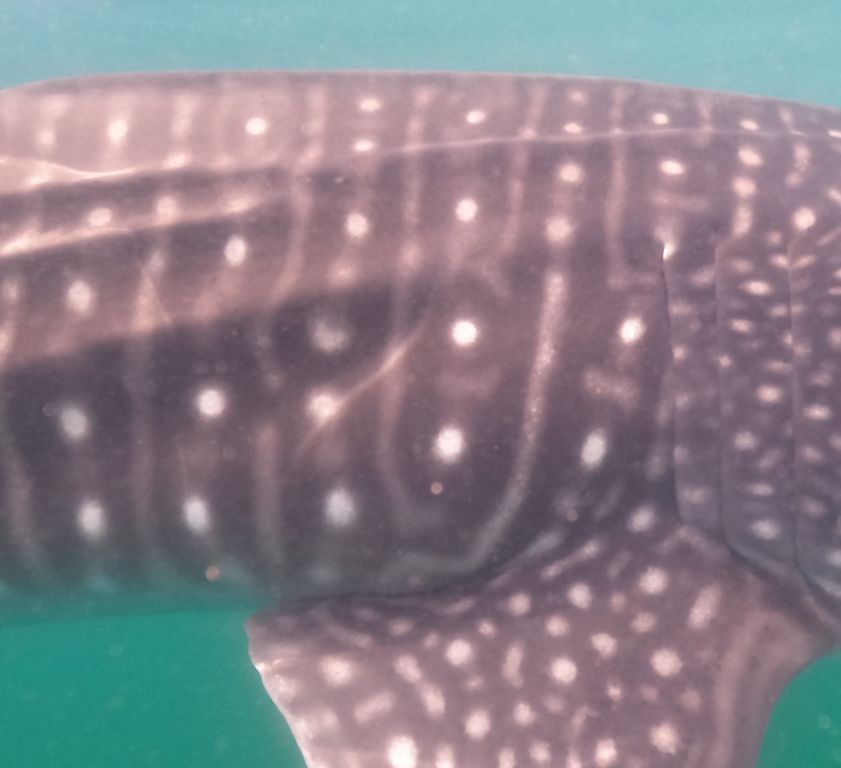 e2a43021-d2f5-4d36-889a-5a83f3eb4dbf