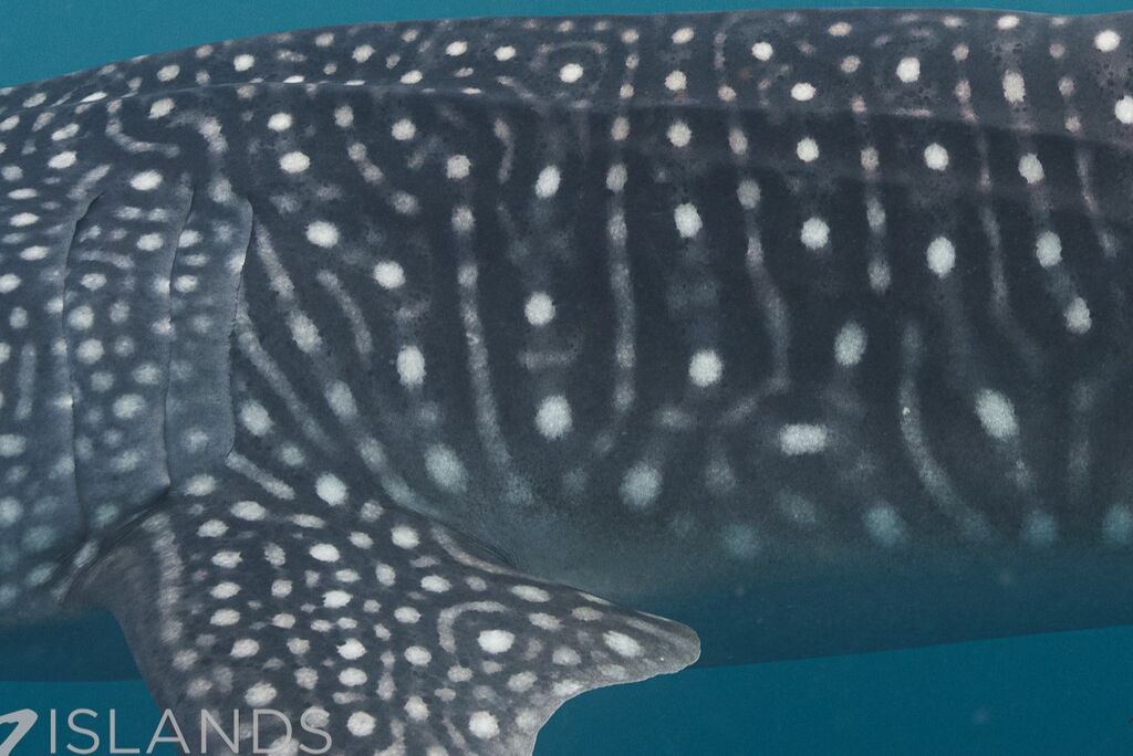 2adece56-db0c-4580-b076-1a1ef79d3243