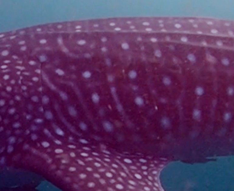 1feaa02b-9260-4b92-bd39-02529dd75768