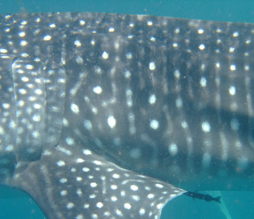 a20fedc7-a292-418f-b332-628ac6a2a52d