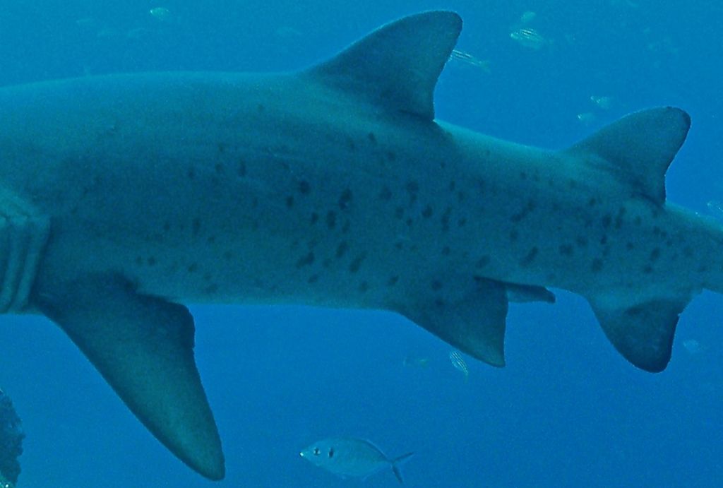 9a787d97-d033-4999-b077-900e770179b8