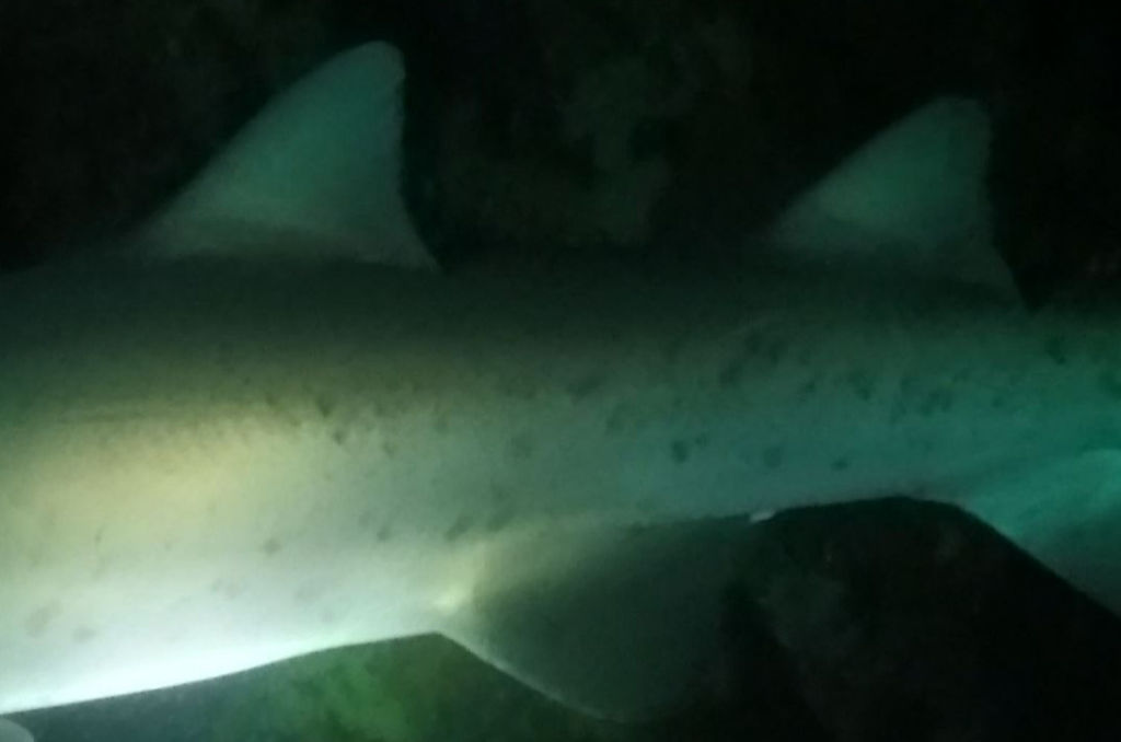 0da7ffd4-70a6-41b0-94f0-142cb1ab601c