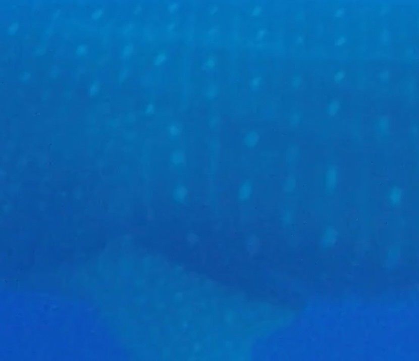 99d18d3d-7dd3-4b32-bdde-f488b9a83b9e