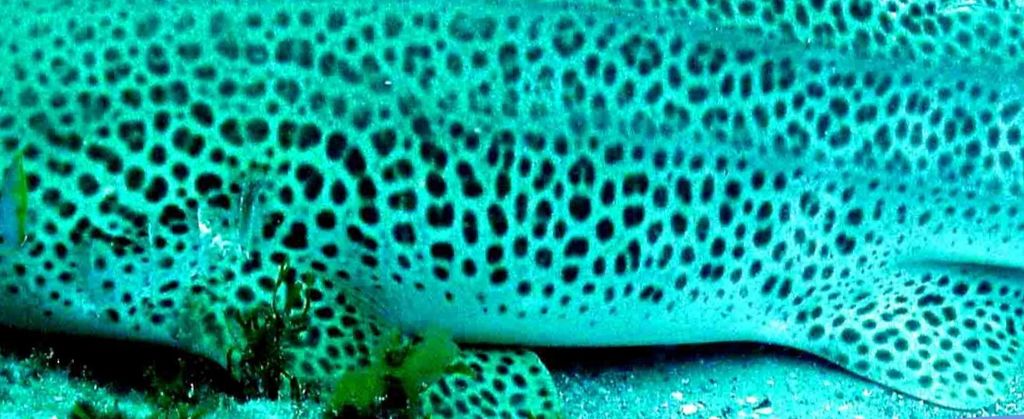 dcab9989-50c0-4b9a-b46e-04971d93b66e