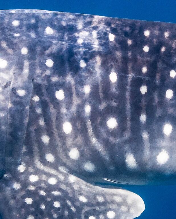 19af9aa0-b077-4aba-a713-a28a76e22a18