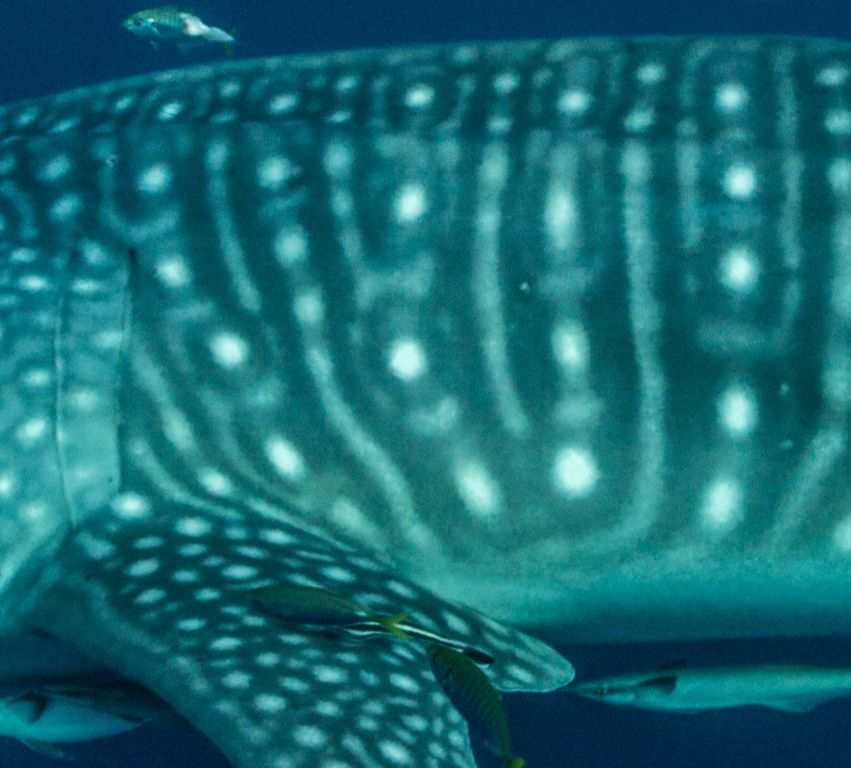 c3f3be15-6965-4269-b181-997da3002613