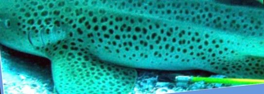 b5d582d6-13cf-4064-89eb-e15f2f05cf5d