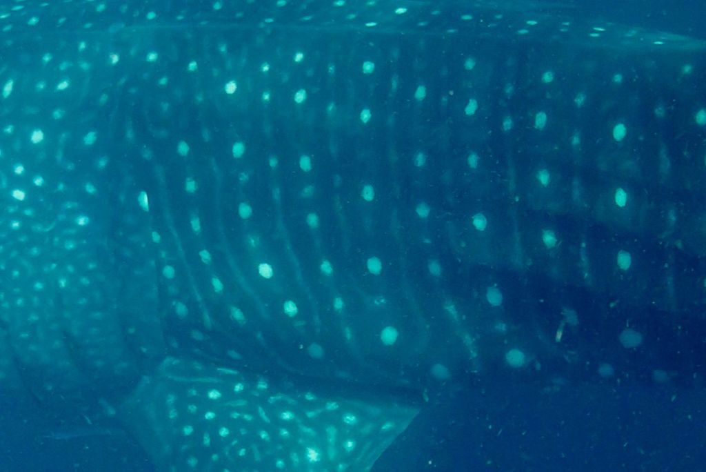 df3f8fe4-68da-402c-b5f7-c5752c94bb94