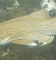 acc18bd4-16eb-4b1a-aef1-ab98273f8a65