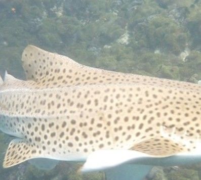 acc18bd4-16eb-4b1a-aef1-ab98273f8a65