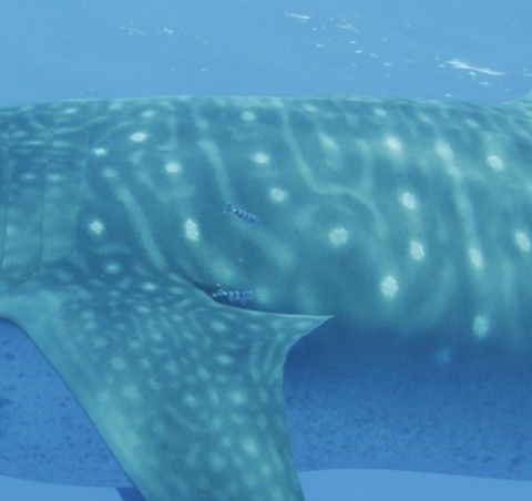 3326b39e-bd41-4e42-819a-2d9c180c2871