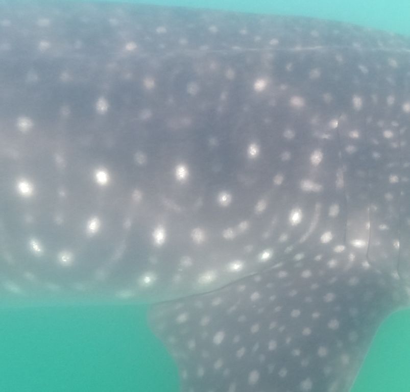 22b176ba-cc9d-48e9-8968-7fd4a7133c20