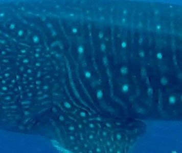 13a8311c-5da9-4e0c-86fa-3b04ad3bb5b3