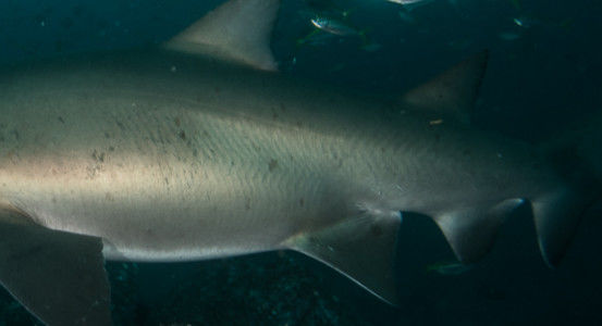 af957dbe-90a2-425b-a4ca-b71dde2bf3ae