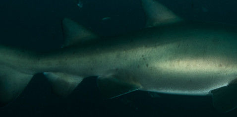 af957dbe-90a2-425b-a4ca-b71dde2bf3ae