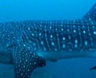 58948aa4-d392-48c9-a79d-32d2d676272d