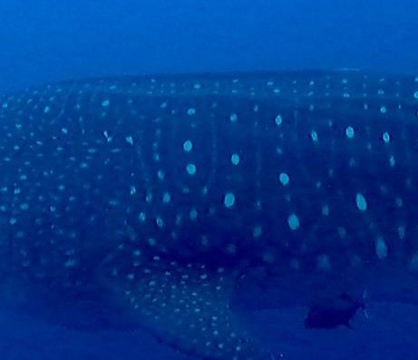 4f4f23b4-629e-425e-8ad8-a13f2407e8cb