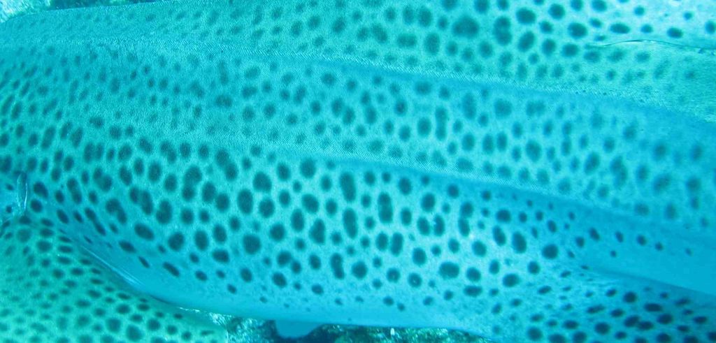 f70d6b17-b2e6-4a00-91fa-e89854e39cb4