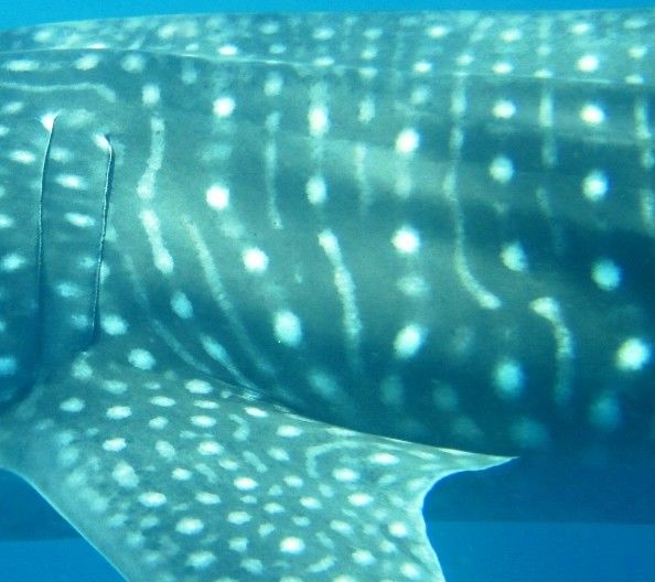 b1f45189-e50a-4b0a-b336-5f41f03419ea