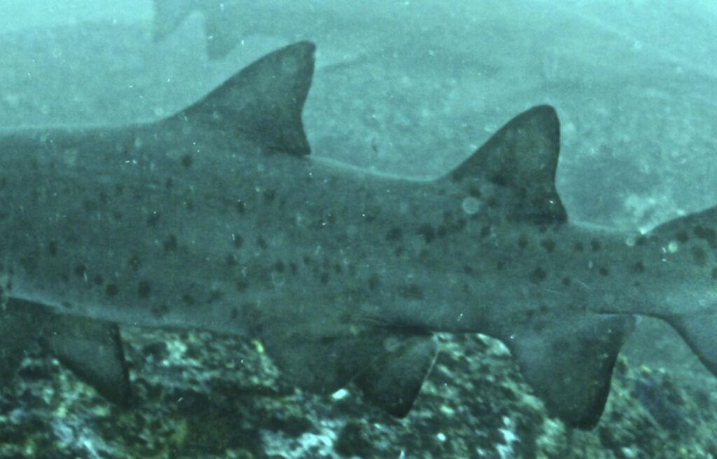 55fa5853-6887-4d62-9ef3-8568e96b41e7