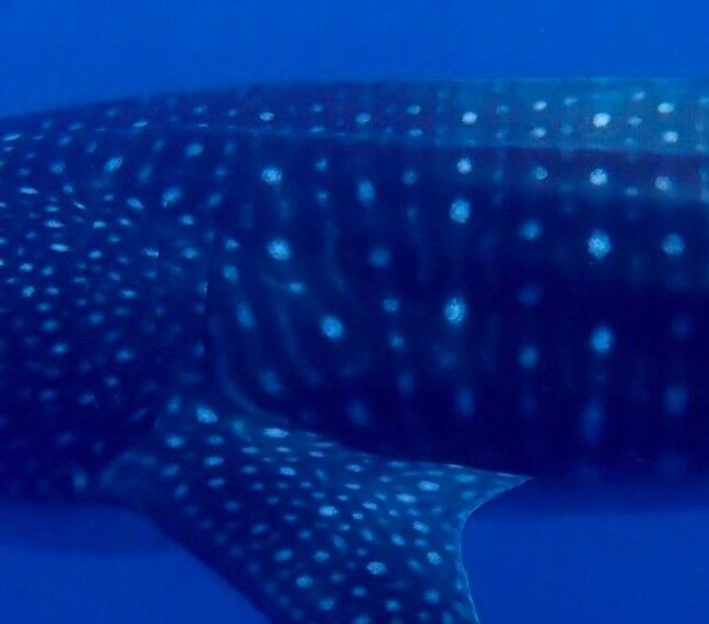 09388afc-0b5f-4e36-b117-5df619ca3622