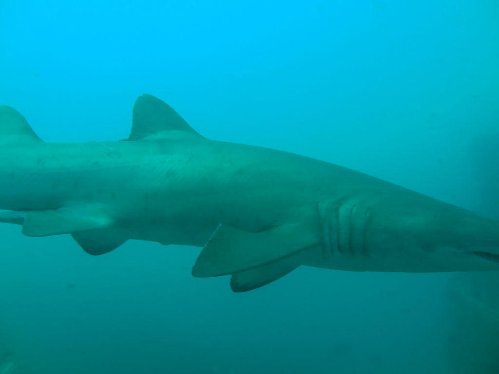 e4f8a17f-90d7-4151-bdef-7f010fad3348