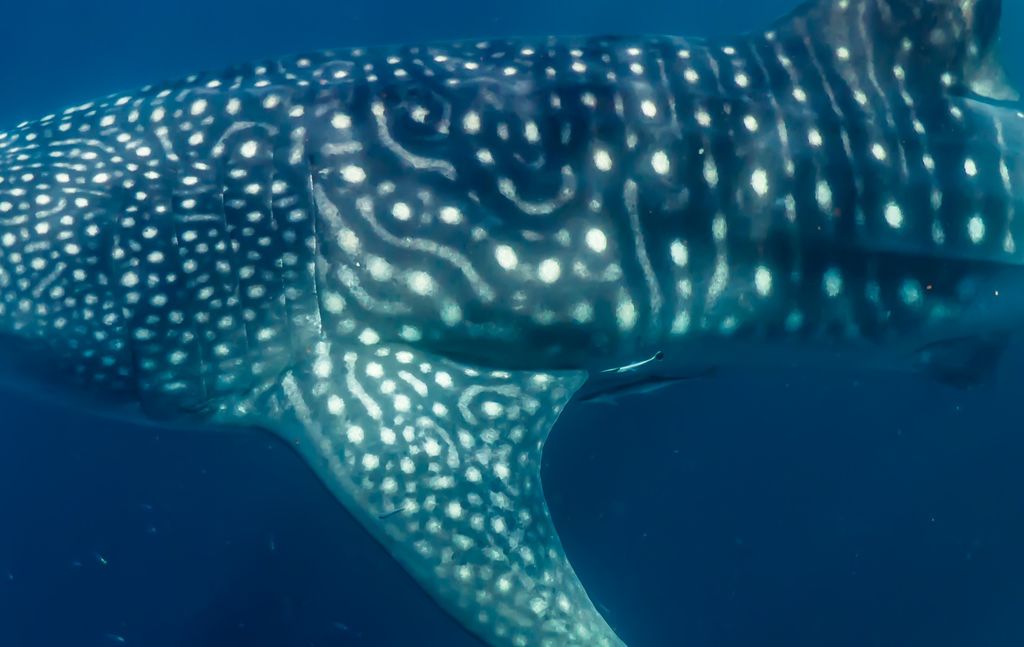 0ba29b9e-b966-4126-802f-a0ee9d10f369