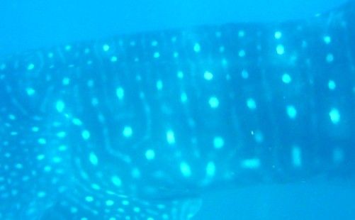 9bc3b650-f2f7-4102-afc5-cfc4480c65c6