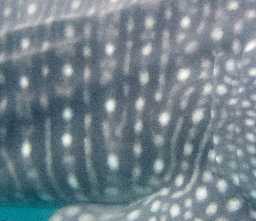 ce2f0732-9e31-4936-b6e9-16cbf7b5ffa4