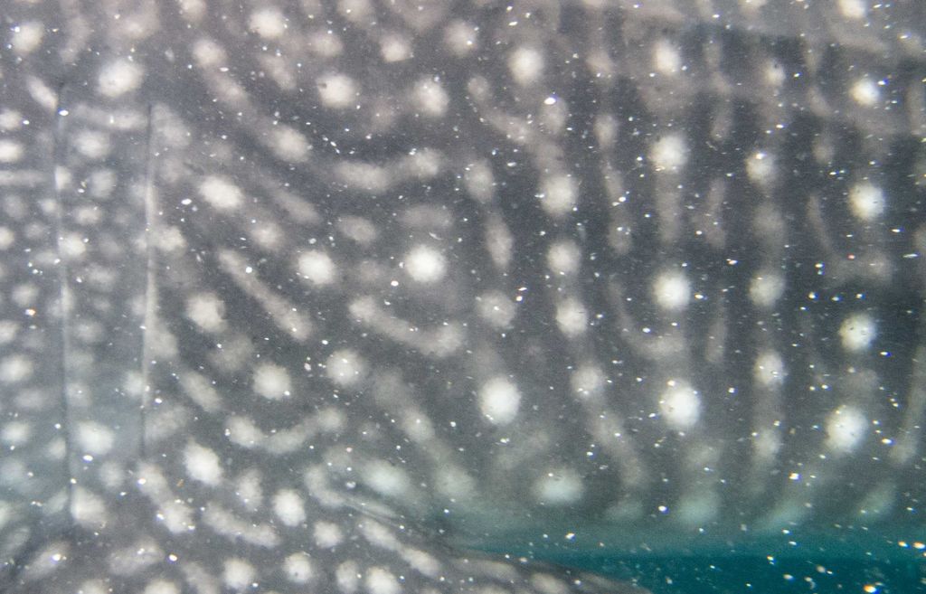 ce2f0732-9e31-4936-b6e9-16cbf7b5ffa4