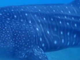 c65a3156-508a-4b3c-a59c-b9f4a2aed7e9