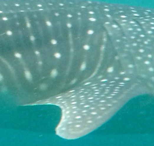 b9a14e6d-900f-40f8-adf3-a8a7e47c8cb5