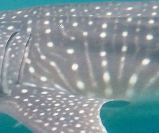 b9a14e6d-900f-40f8-adf3-a8a7e47c8cb5