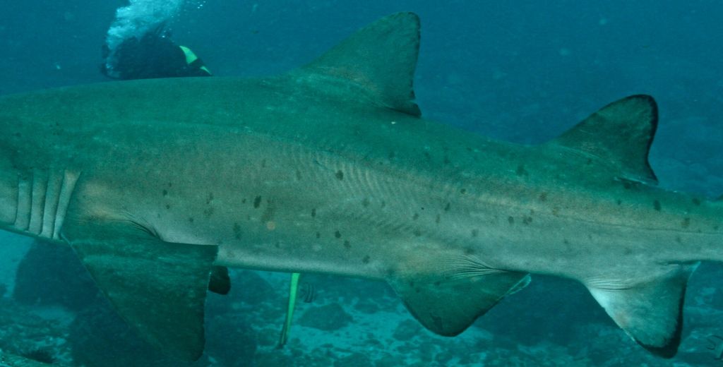 22683fa6-7aaa-495c-b420-7555a01742fa