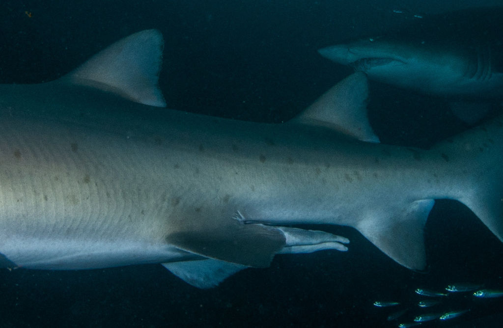 fcc56258-1506-4286-87a4-b334ea7b384f