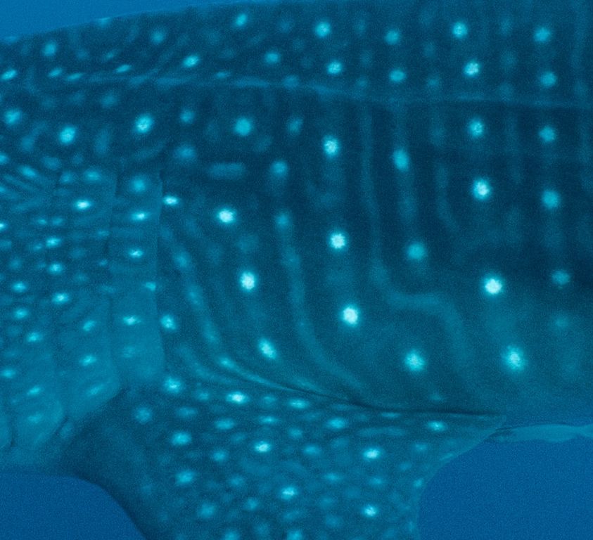 4ff3cdc4-66ba-4756-9a51-b1779cd43121