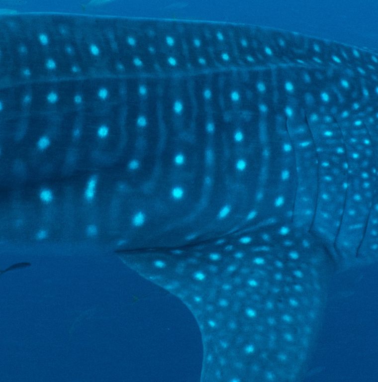 4ff3cdc4-66ba-4756-9a51-b1779cd43121