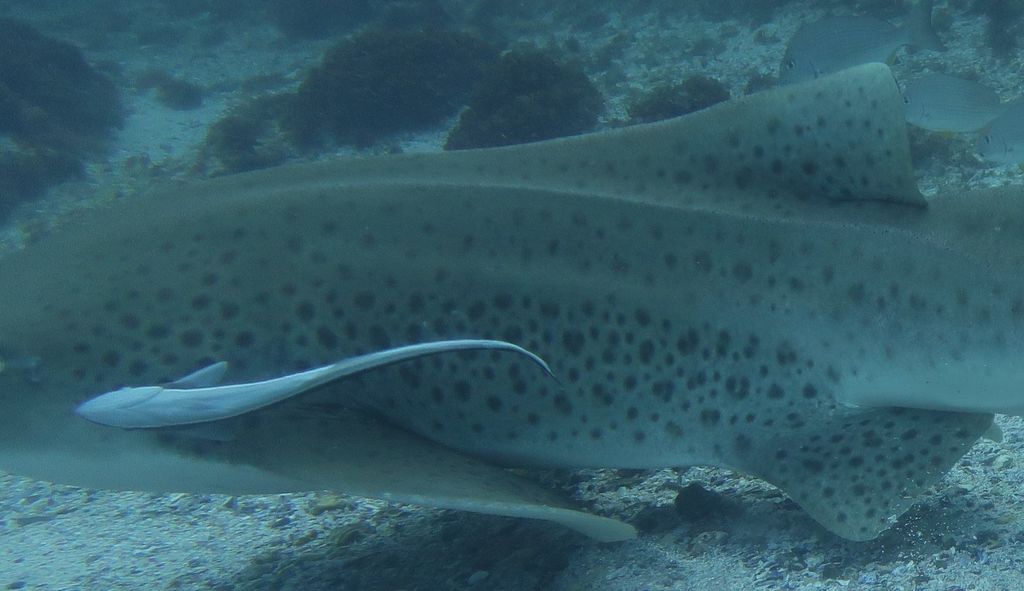 69ebc8ec-b973-45d0-a7b5-223e78fbc76f