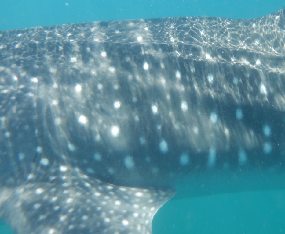 5f57a977-db00-4597-8b6e-801c839e5d27