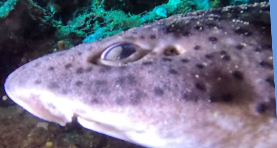 b5c09b47-6a53-4dd0-b58b-0ea96d2f8457