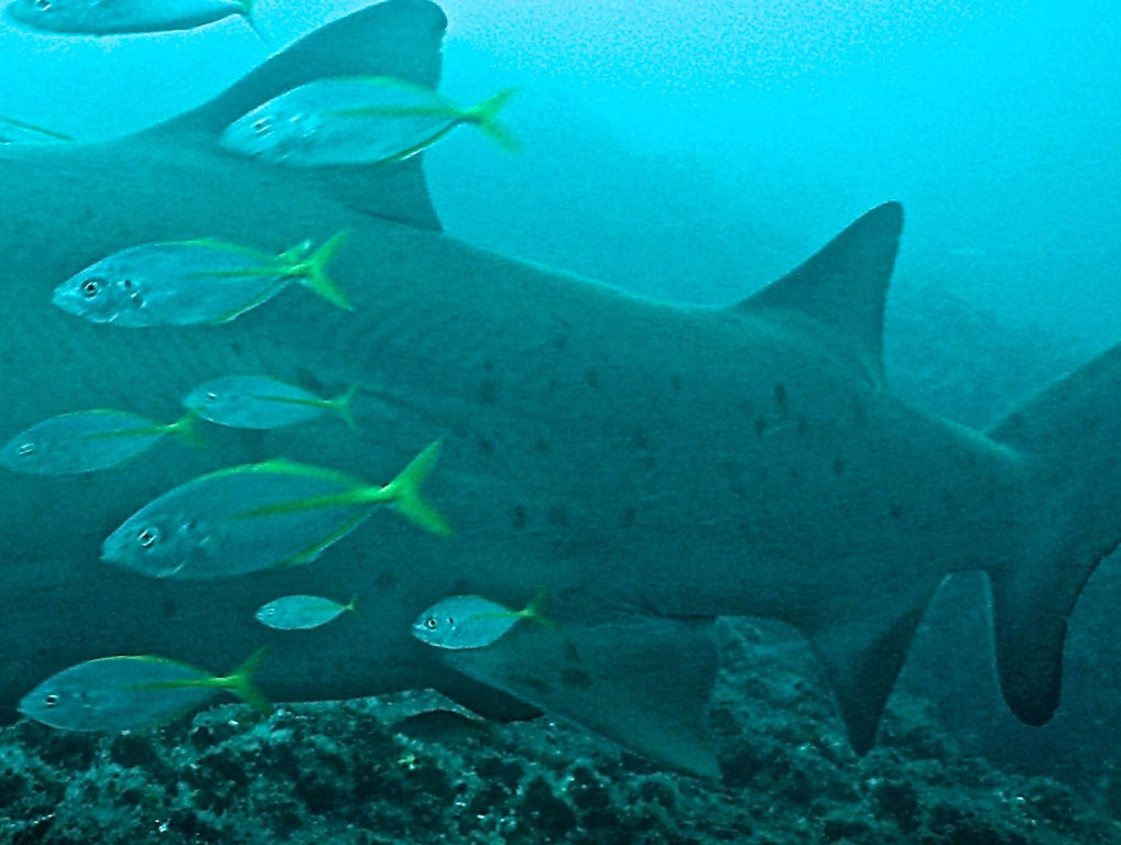 efbe63b0-2bad-4762-be81-f62e176f1eb4