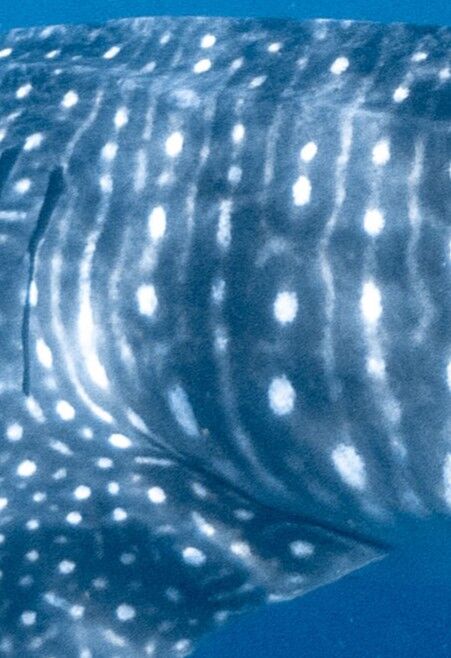 d9f2c011-4501-4619-be7c-002166818557