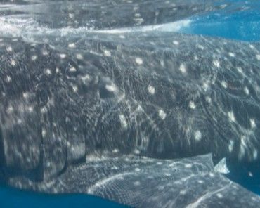 0ae1d5d2-8f3b-4796-a79a-2cf68ce53d5e