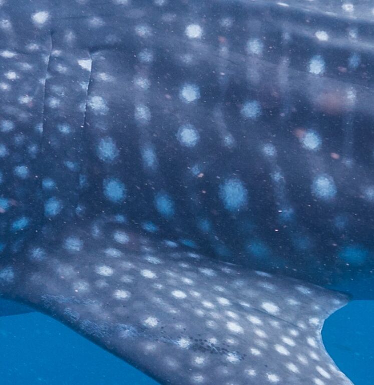 5327afa2-3a23-4b8b-b538-87d8a1c73252