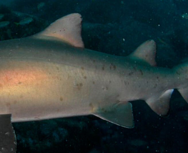 713bcc07-ca2f-493d-9829-a40e850a803d