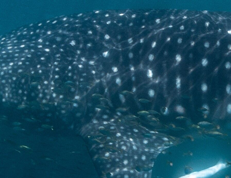 b4b9c729-7475-41f5-ba01-5c016e06495d